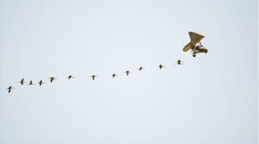 twa-2017-11-crowdsourcing-tecvsmgmt-hero.jpg